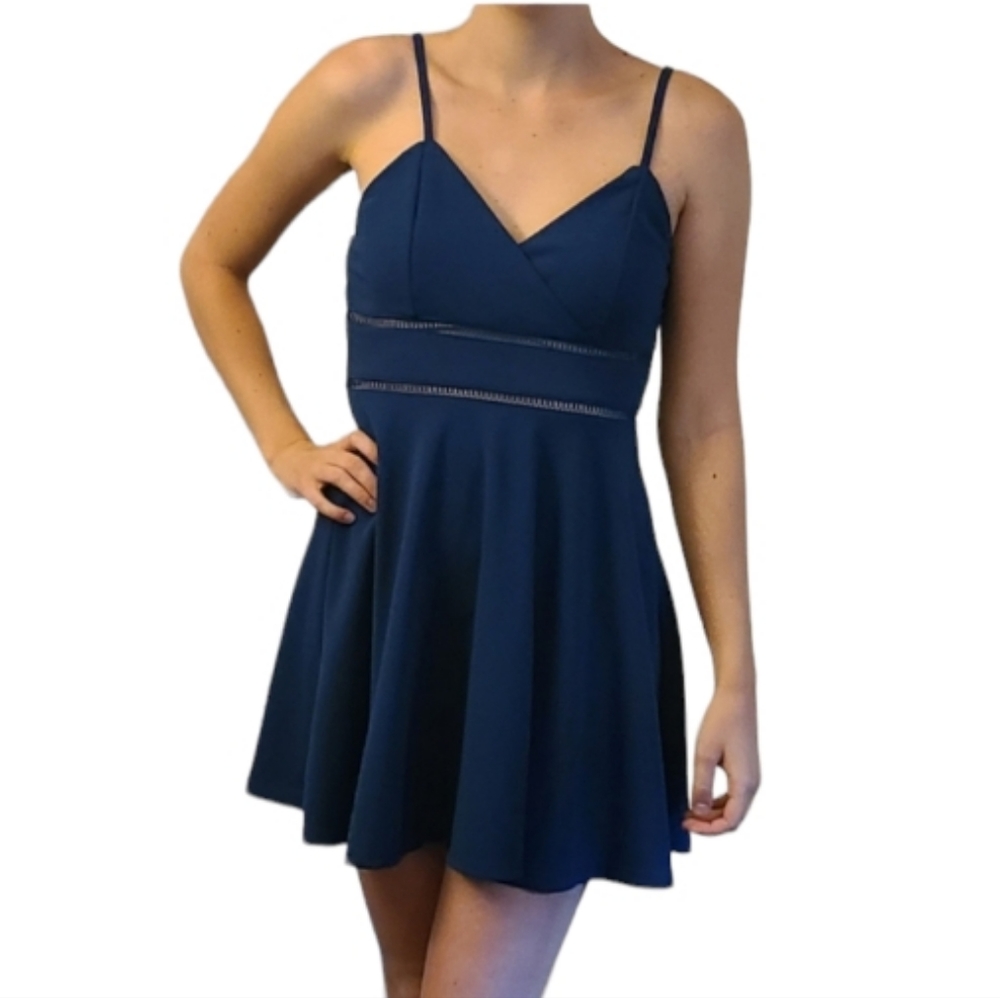 Francesca's Fit-and-Flare Mini Dress